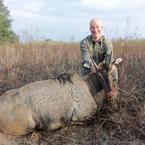 Nilgai Hunt