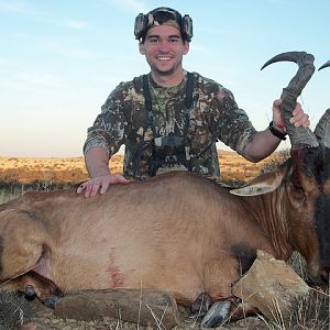 Red Hartebeest Hunt South Africa