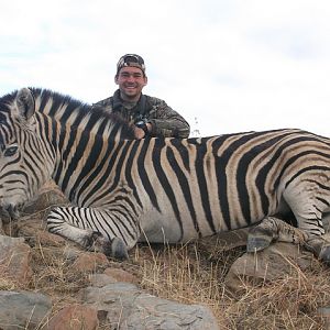 South Africa Burchell's Plain Zebra Hunting