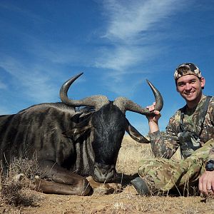 South Africa Blue Wildebeest Hunting