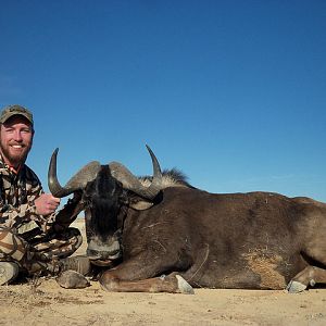 Hunt Black Wildebeest South Africa