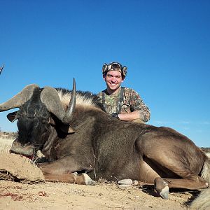 Hunt Black Wildebeest South Africa