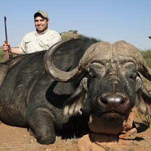 Cape Buffalo Hunt South Africa