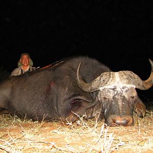 Cape Buffalo Hunt South Africa