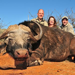 Cape Buffalo Hunt South Africa