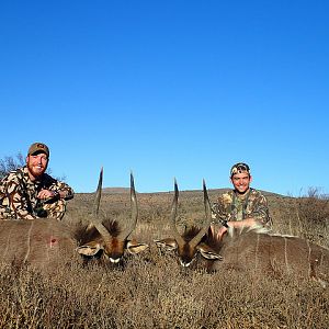 Nyala Hunt South Africa