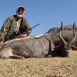 Nyala Hunt South Africa