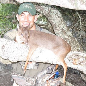 Blue Duiker Hunt