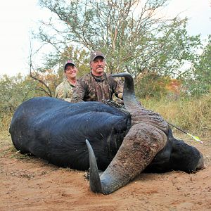 South Africa Cape Buffalo Bow Hunt