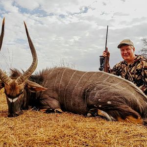 Nyala Hunt South Africa