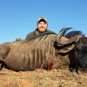 South Africa Blue Wildebeest Hunting