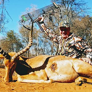 South Africa Bow Hunting Impala