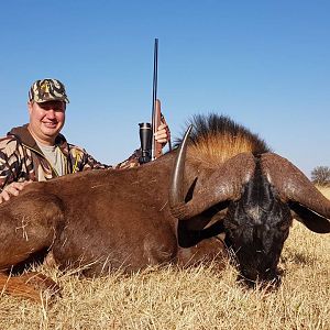 Hunt Black Wildebeest South Africa