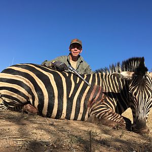 South Africa Burchell's Plain Zebra Hunting