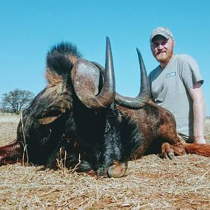 Hunt Black Wildebeest South Africa