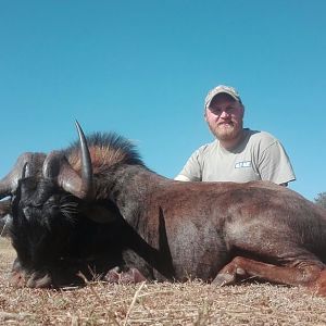 Hunt Black Wildebeest South Africa