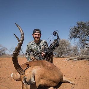 Impala Bow Hunt South Africa