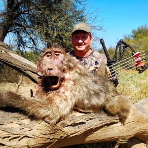 South Africa Baboon Bow Hunting