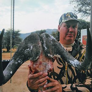 Hunt Black Wildebeest South Africa