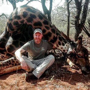 Giraffe South Africa Hunting