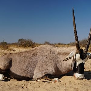 Hunt Gemsbok South Africa