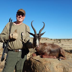 Black Springbok South Africa Hunt