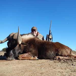 Hunt Black Wildebeest South Africa