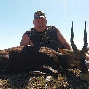 Bushbuck  Hunting South Africa