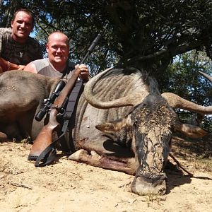 South Africa Blue Wildebeest Hunting