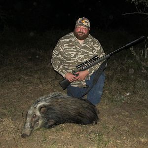 South Africa Bushpig  Hunting