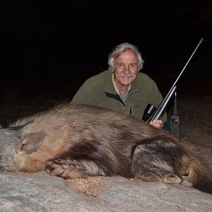 BROWN HYENA HUNT