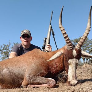 Hunting Blesbok South Africa