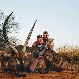 Waterbuck South Africa Hunt