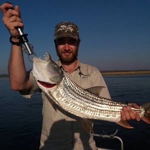 Zimbabwe Tiger Fishing