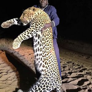 Leopard Hunt Zimbabwe