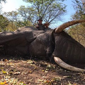 Zimbabwe Hunting Elephant