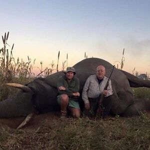 Zimbabwe Hunting Elephant