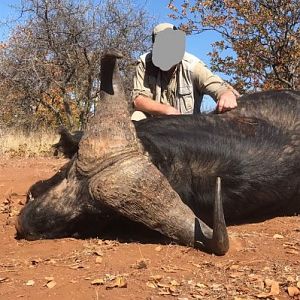 Hunting Zimbabwe Buffalo