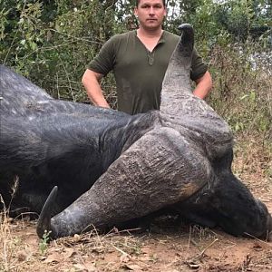 Cape Buffalo Hunt Zimbabwe