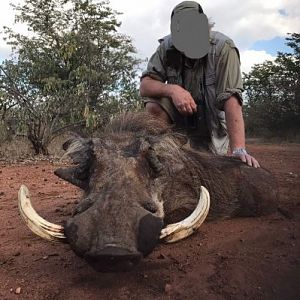 Hunting Warthog Zimbabwe