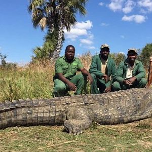 Hunt Crocodile in Zimbabwe