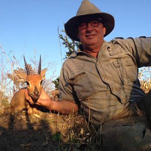 Steenbok Zimbabwe Hunting