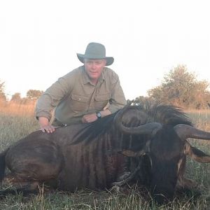 Blue Wildebeest Zimbabwe Hunting