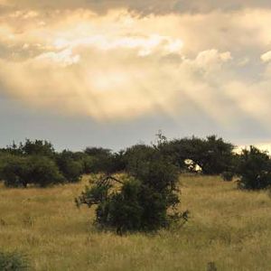 Linksfontein Area