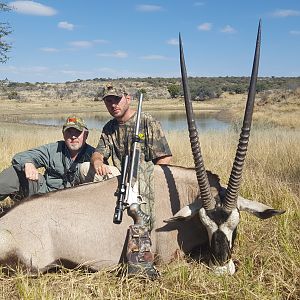 Hunt Gemsbok