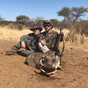 Warthog Hunt