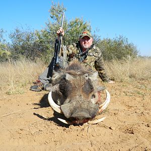 Warthog Hunt