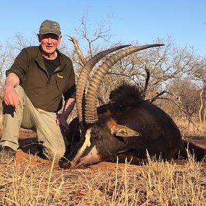 Hunt Sable Antelope South Africa