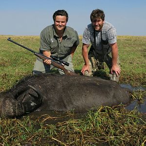 Buffalo Zambia Hunt