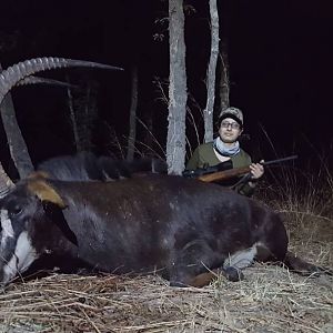 Hunt Sable Antelope Zambia